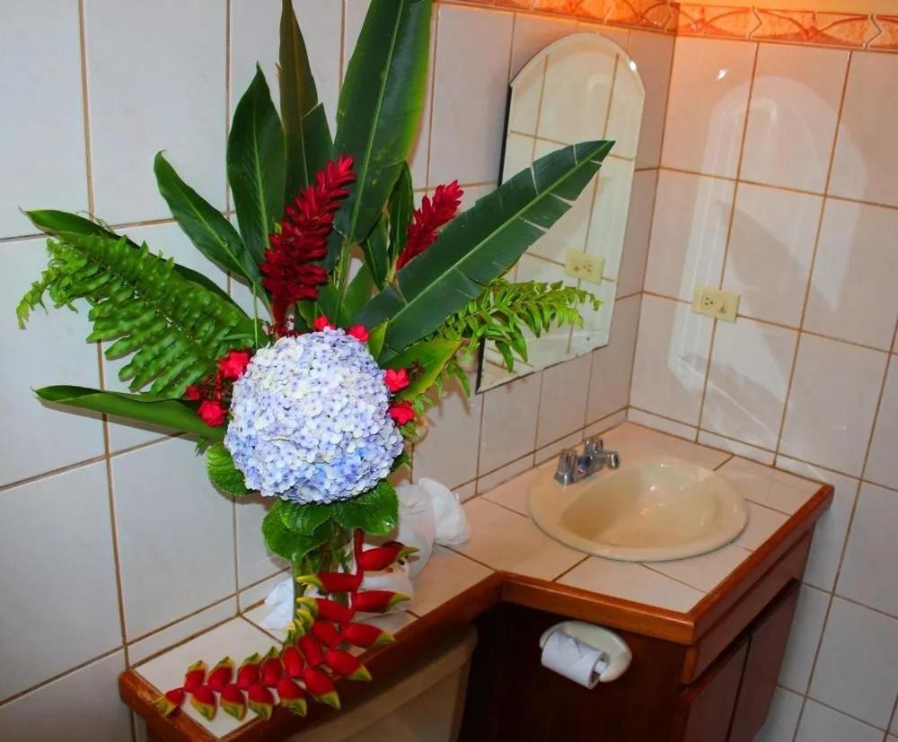Hotel Ecological Inn San José Eksteriør billede