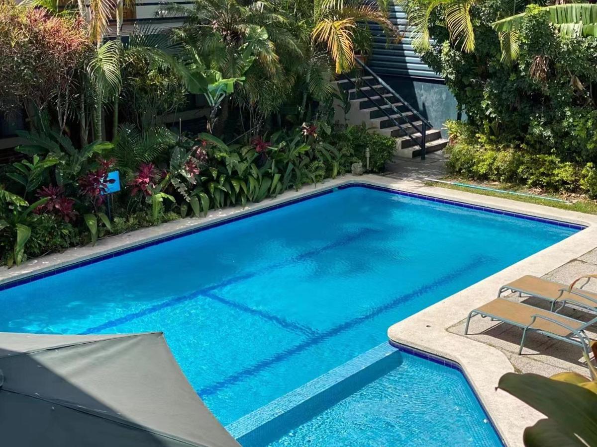 Hotel Ecological Inn San José Eksteriør billede