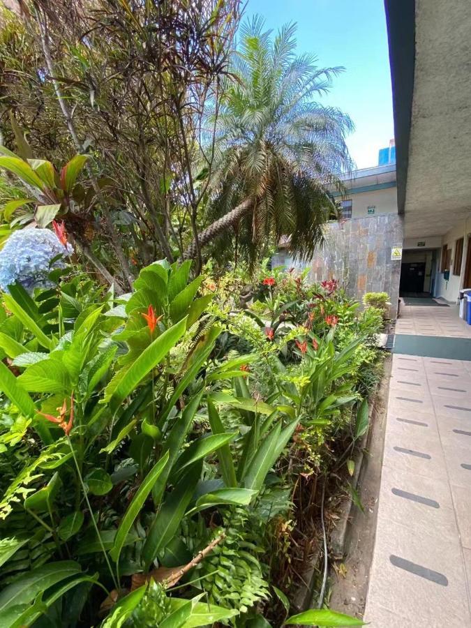 Hotel Ecological Inn San José Eksteriør billede